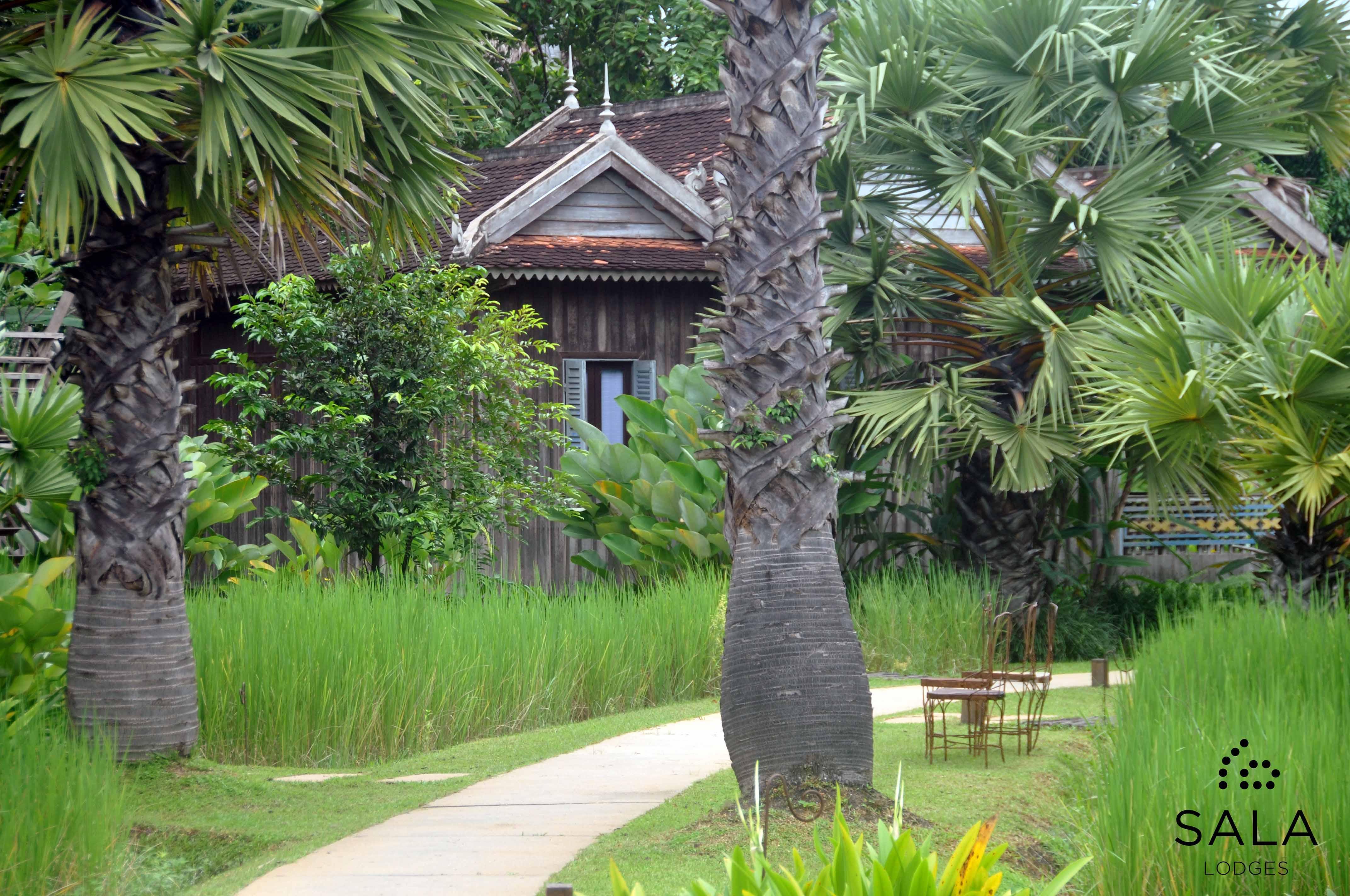סיאם ריפ Sala Lodges מראה חיצוני תמונה